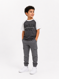 Raglan grey shadow teshirt